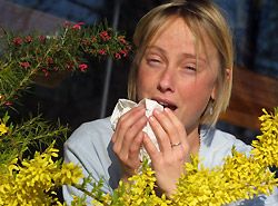 Heuschnupfen Pollen parieren