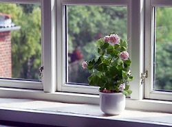 Fenster Energie sparen Drei Scheiben Verglasung