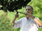 Garten Haus Bauen G�rtnern