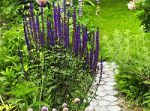 Gartenplanung Garten Bauen Geldsparen.de