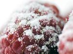 Haushalt Obst Gem�se Einfrieren Gefriertruhe Verbraucherportal Geldsparen.de