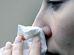 Erk�ltung Schnupfen Gesundheit Nasenspray