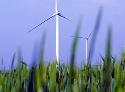 Co2 Klima Klimaschutz kompensation Fliegen