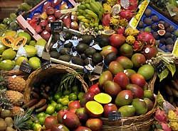 Smoothies Obst Test Geldsparen.de