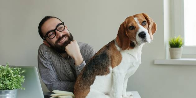 Hund Und Arbeit Wie Macht Ihr Das Mit dem Hund ins Büro | Geldsparen.de